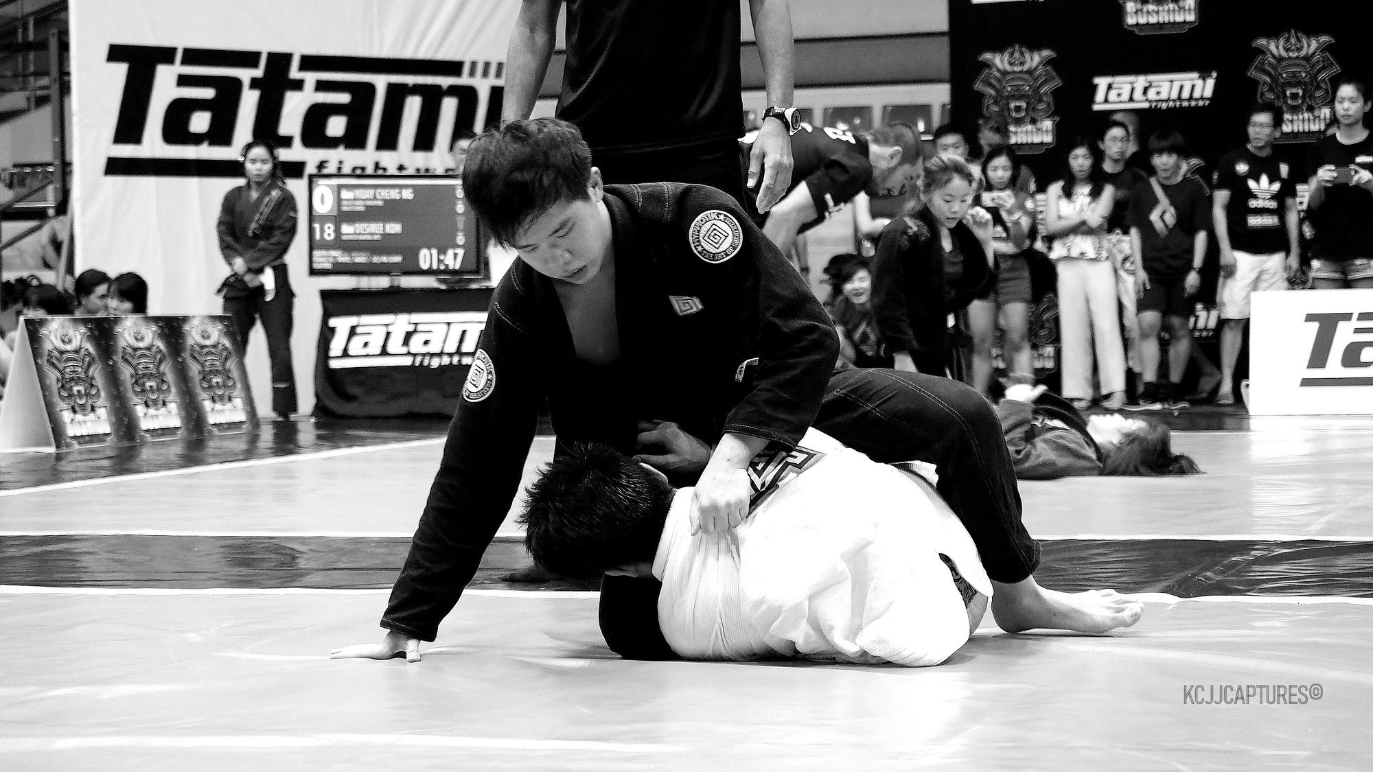 A martial art in submission grappling.