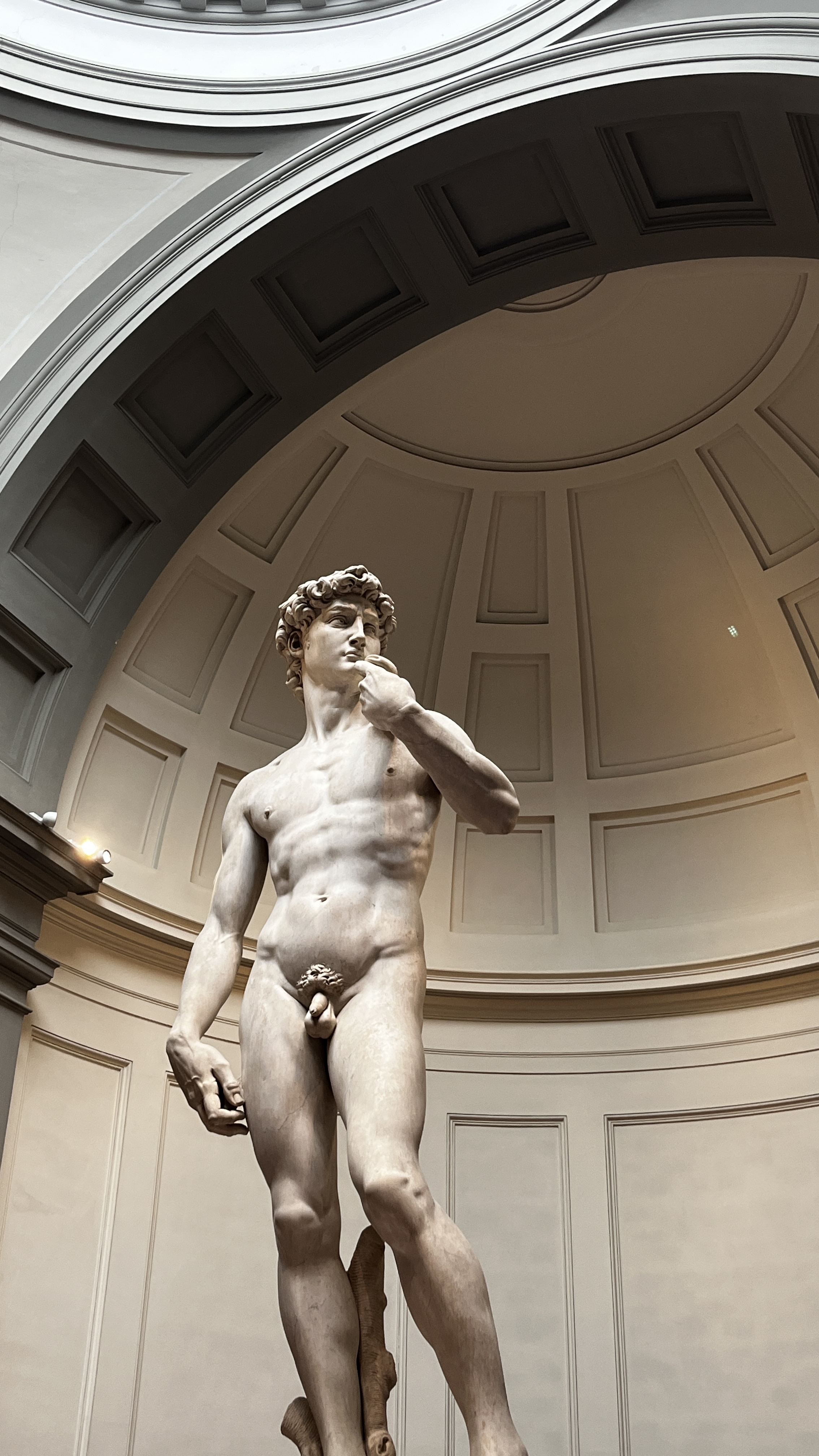 David