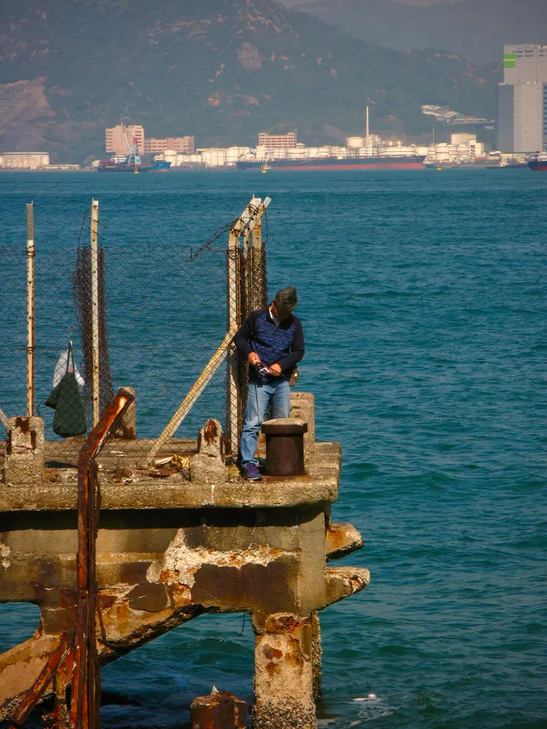 fishing in Kennedy Town